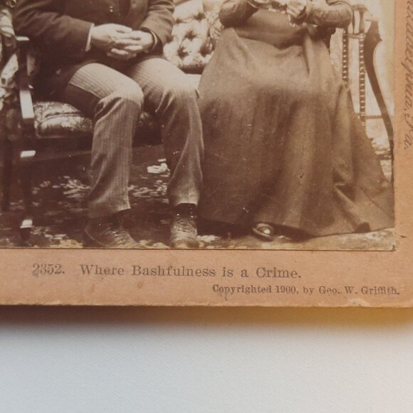 ANTIQUE STEREOGRAPH VIEW CARD COURTING COUPLE "Where bashfulness is a crime" - Picture 4 of 5